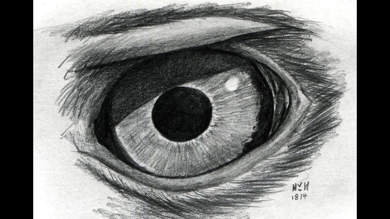 1280x720 Drawing An Eagle's Eye - Eagle Eye Drawing