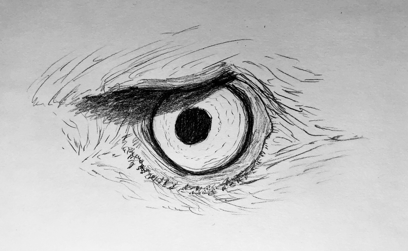 1366x840 Eagle Eye - Eagle Eye Drawing
