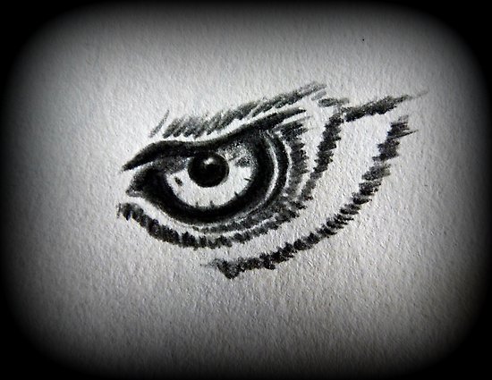 550x425 Eagle Eye Pencil Drawing Posters - Eagle Eye Drawing