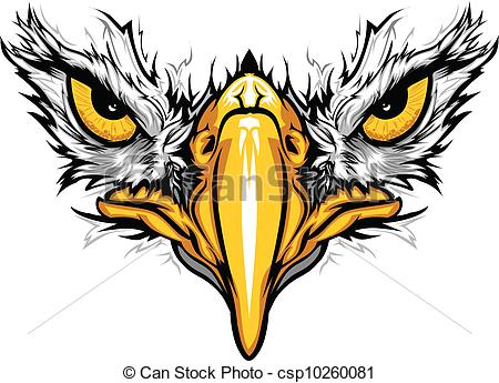 450x345 Eagle Eyes And Beak Vector Illustration Graphic Vector Vector - Eagle Eye Drawing