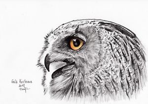 300x212 The Owl Original Gala Kostroma Watercolor Bird Drawing Painting - Eagle Eye Drawing