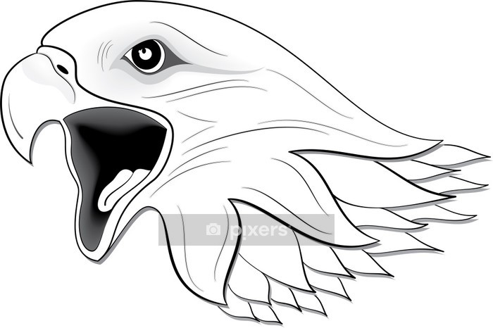 700x466 Eagle Face Silhouette Wall Decal We Live To Change - Eagle Face Drawing