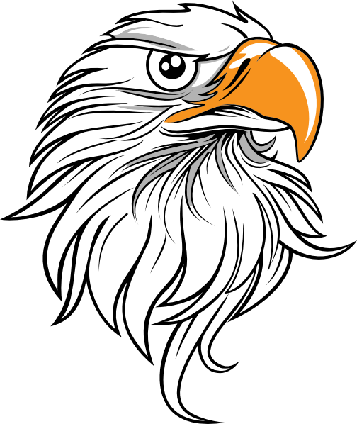504x598 Eagle Face - Eagle Face Drawing