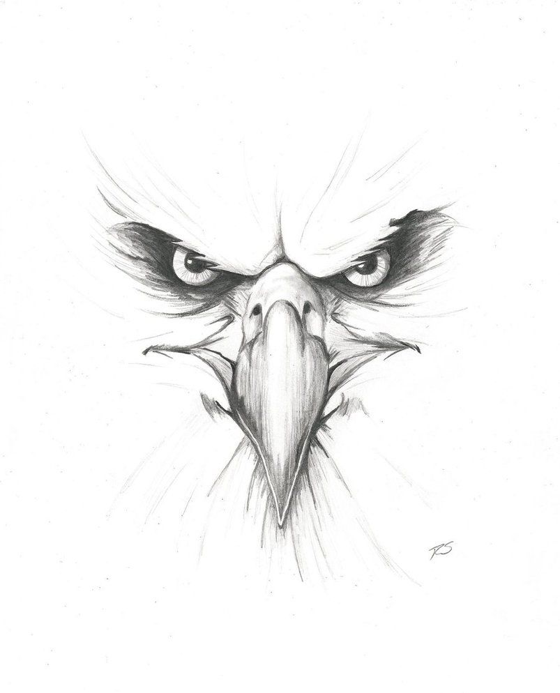 803x994 Biker Stuff In Eagle Drawing - Eagle Face Drawing