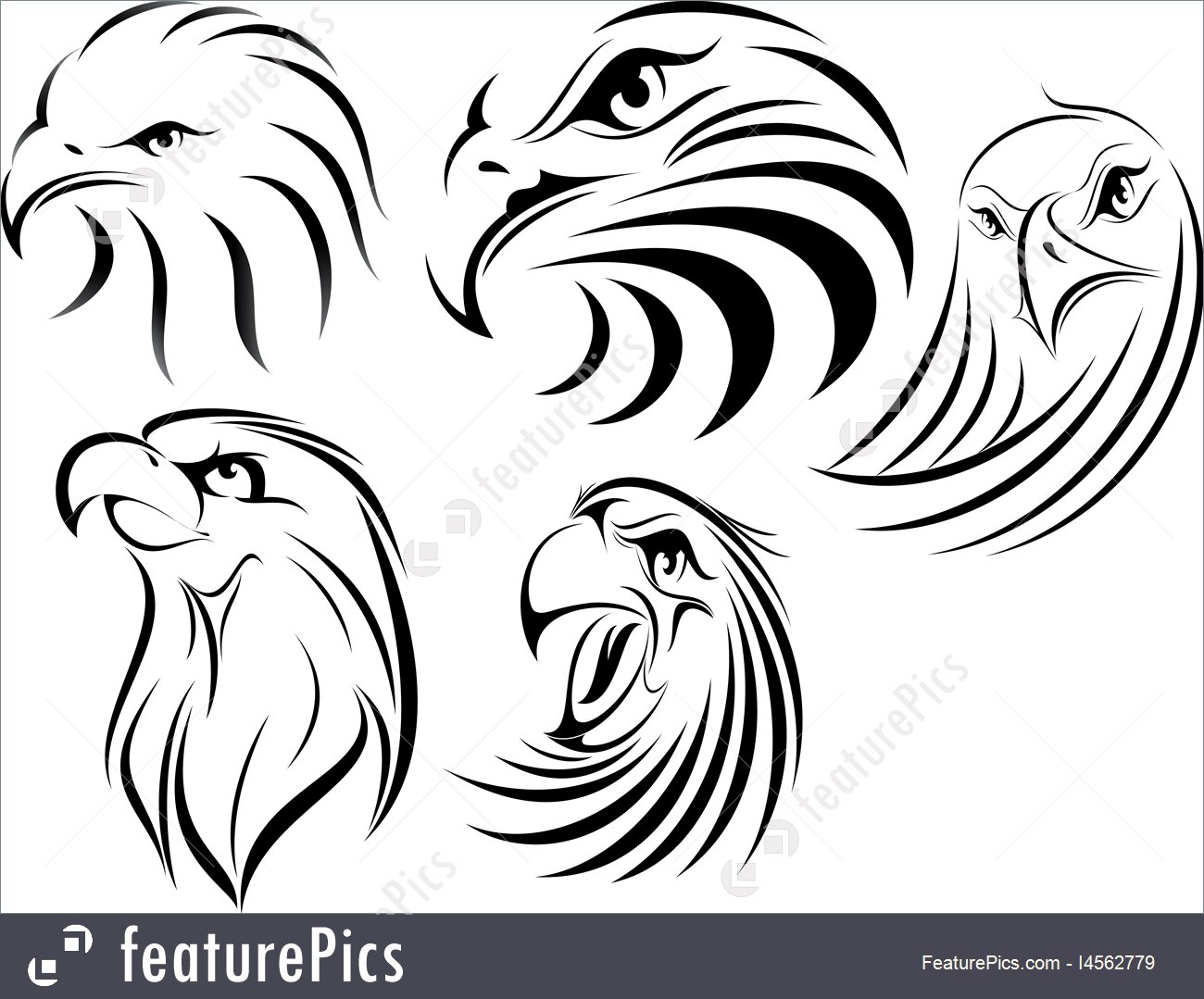 1300x1079 Wildlife Eagle Face Silhouette - Eagle Face Drawing