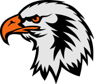 190x170 Eagle Head Face Cartoon Drawing Women's Premium Tank Top - Eagle Face Drawing