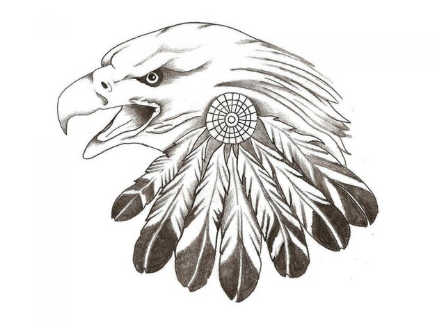 628x471 Eagle Feather Tattoo Drawing - Eagle Feather Drawing