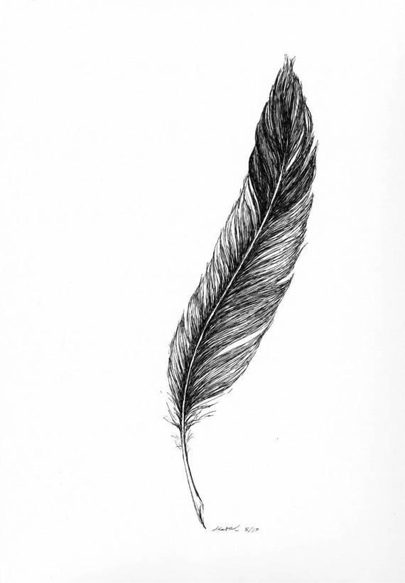 Eagle Feather Drawing at PaintingValley.com | Explore collection of ...