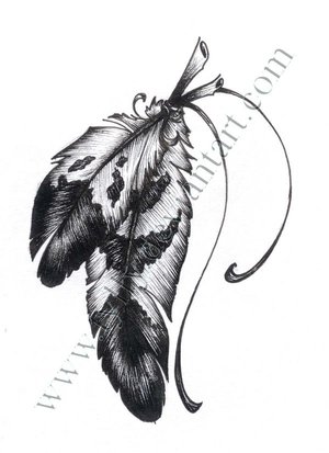 300x413 Great Drawing Sketches Of Eagle Feather - Eagle Feather Drawing