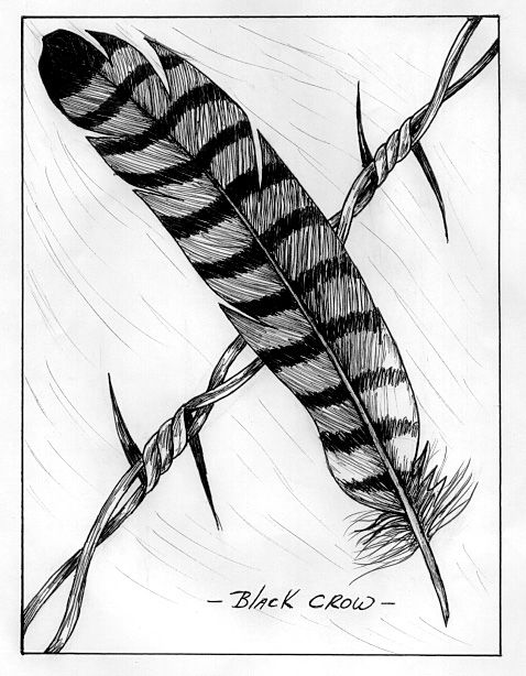 478x614 How To Draw A Eagle Eagle Feather Drawing Image Search Results - Eagle Feather Drawing