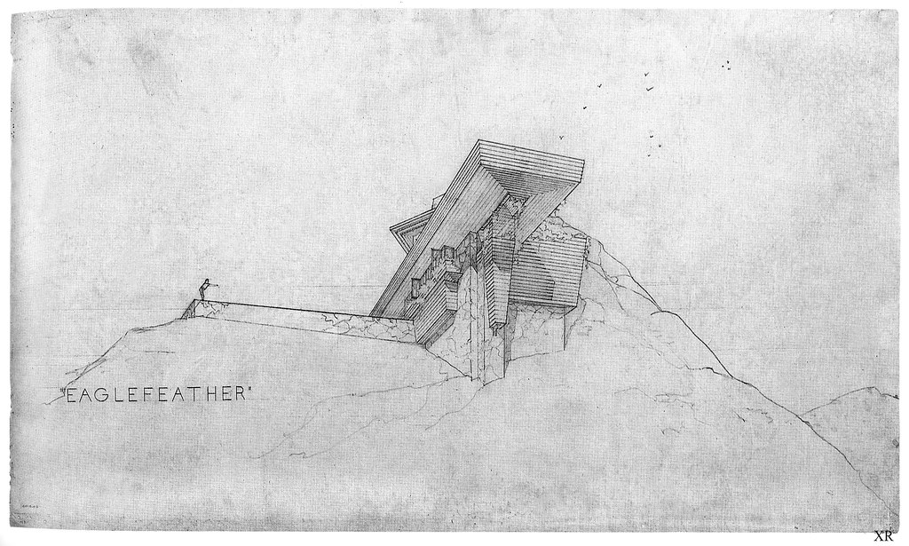 Eagle Feather Line Drawing