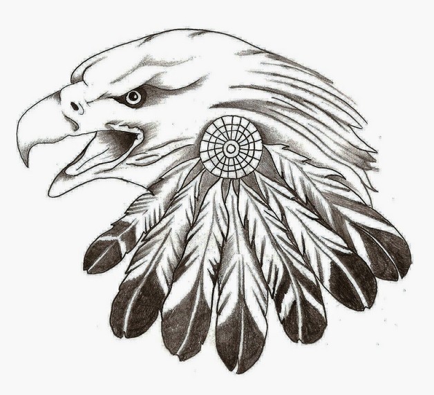 628x572 drawn bald eagle eagle feather - Eagle Feather Line Drawing
