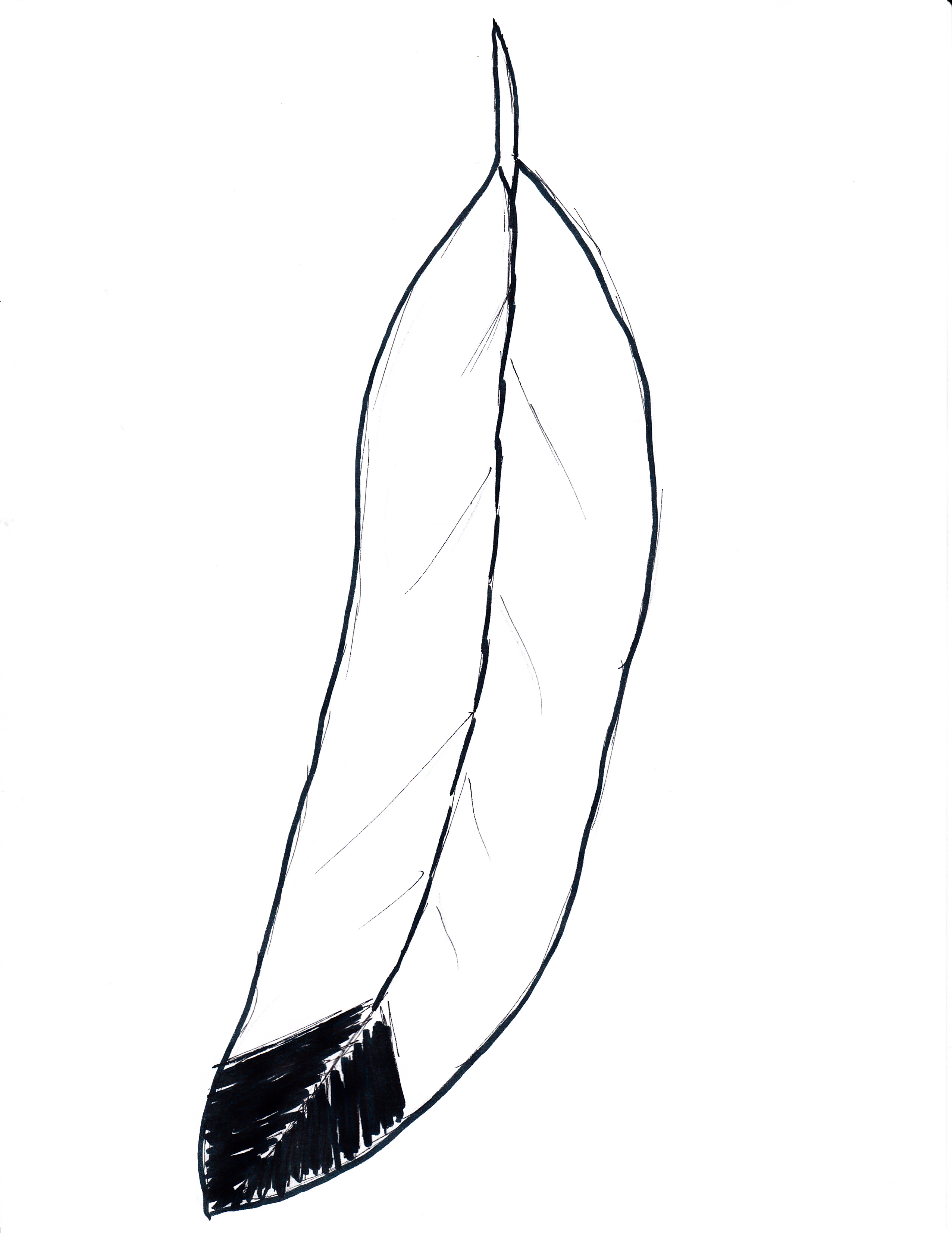 2552x3304 Eagle Feather Template - Eagle Feather Line Drawing