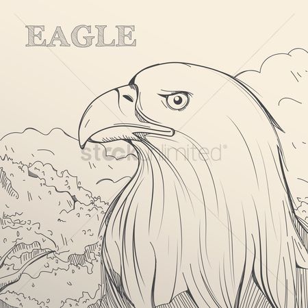 450x450 Free Feathers Stock Vectors Stockunlimited - Eagle Feather Line Drawing