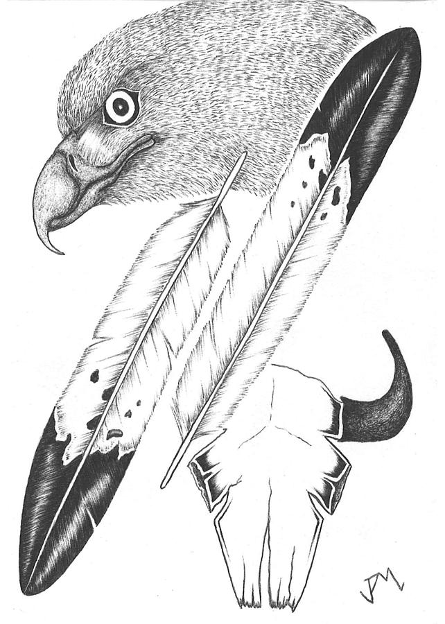 642x900 Huge Collection Of 'eagle Feather Line Drawing' Download More - Eagle Feather Line Drawing