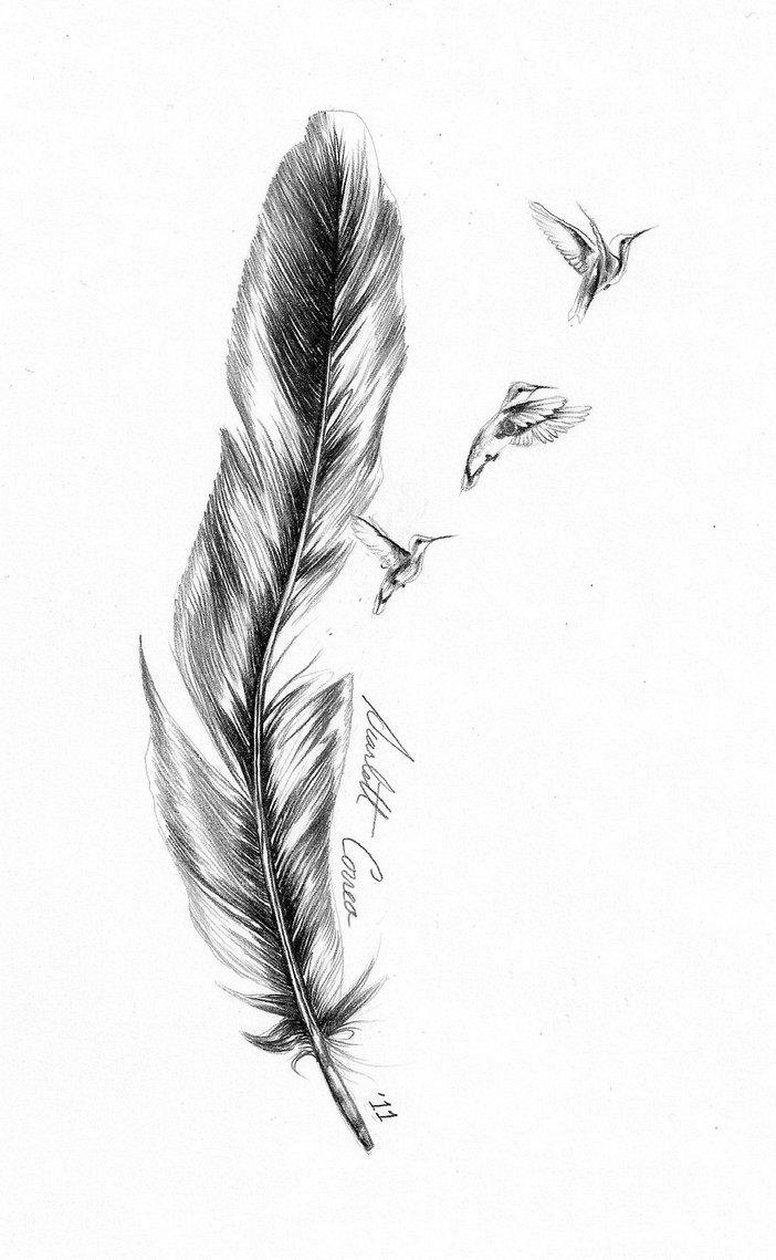 702x1139 Black Grey Bald Eagle Feather Tattoo Design - Eagle Feather Line Drawing