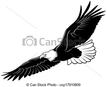 450x365 Flying Bald Eagle - Eagle Flying Drawing