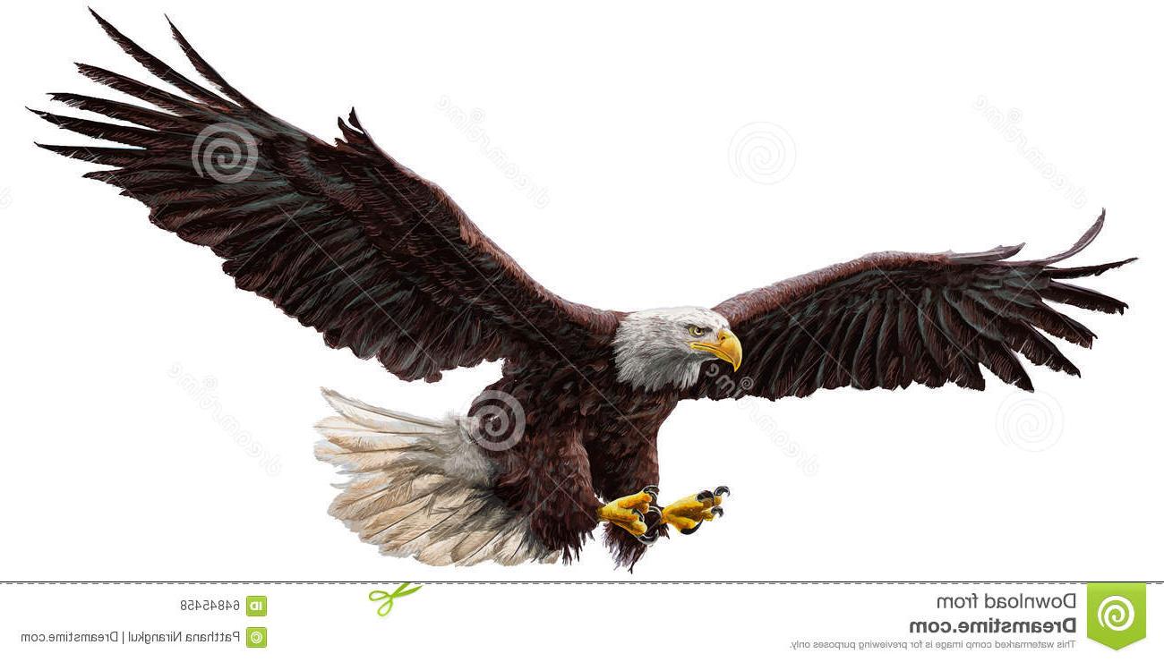 1300x740 Hd Bald Eagle Fly Color Vector Hand Draw White Background - Eagle Flying Drawing