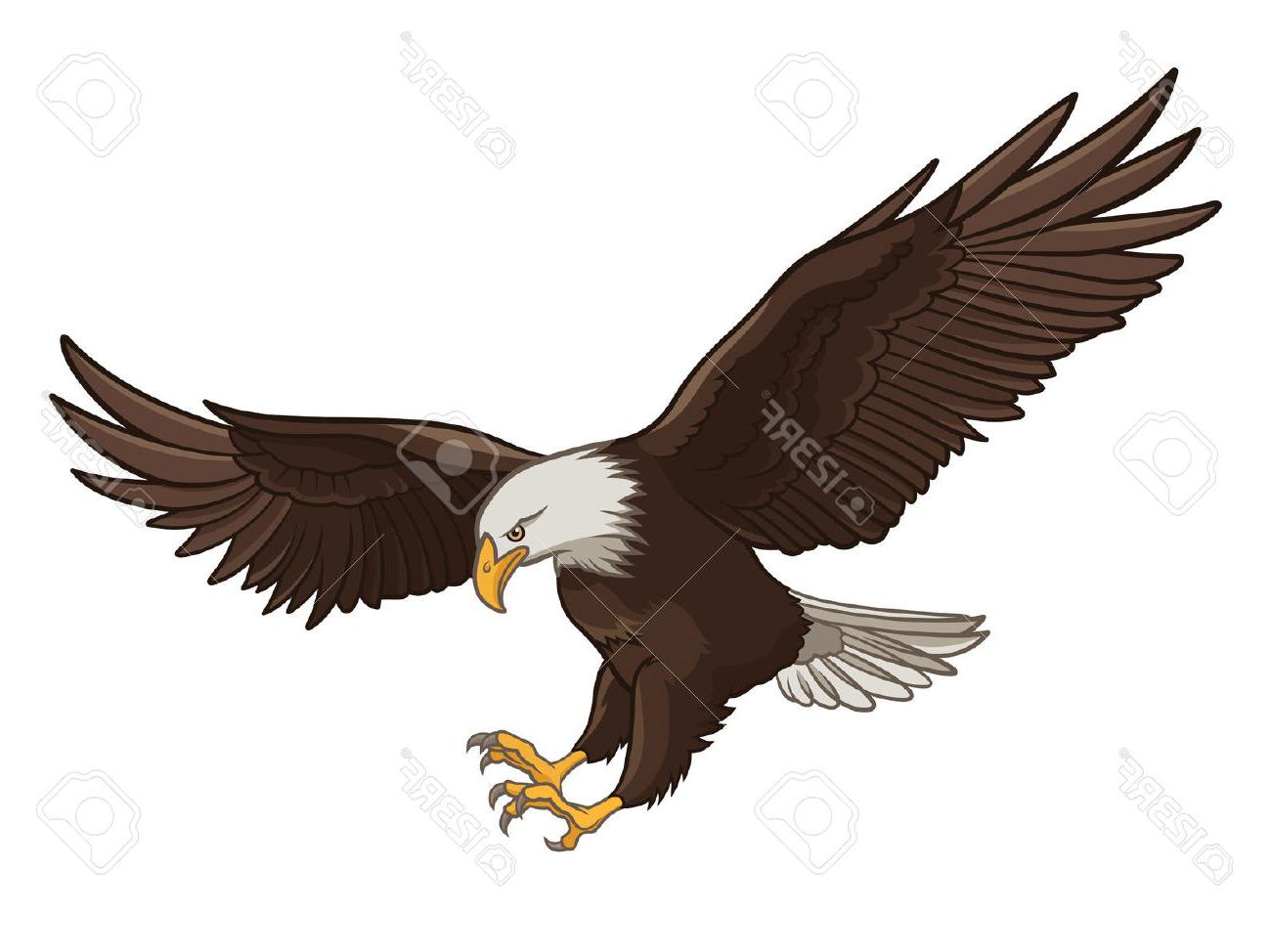 1300x974 Unique Bald Eagle Flying Drawing Cdr - Eagle Flying Drawing