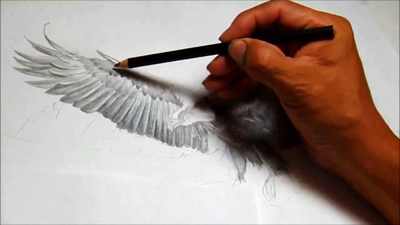 1280x720 Ruben's Art How To Draw An Eagle Flying - Eagle Flying Drawing