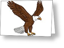 226x170 Bald Eagle Flying Drawing Shower Curtain For Sale - Eagle Flying Drawing