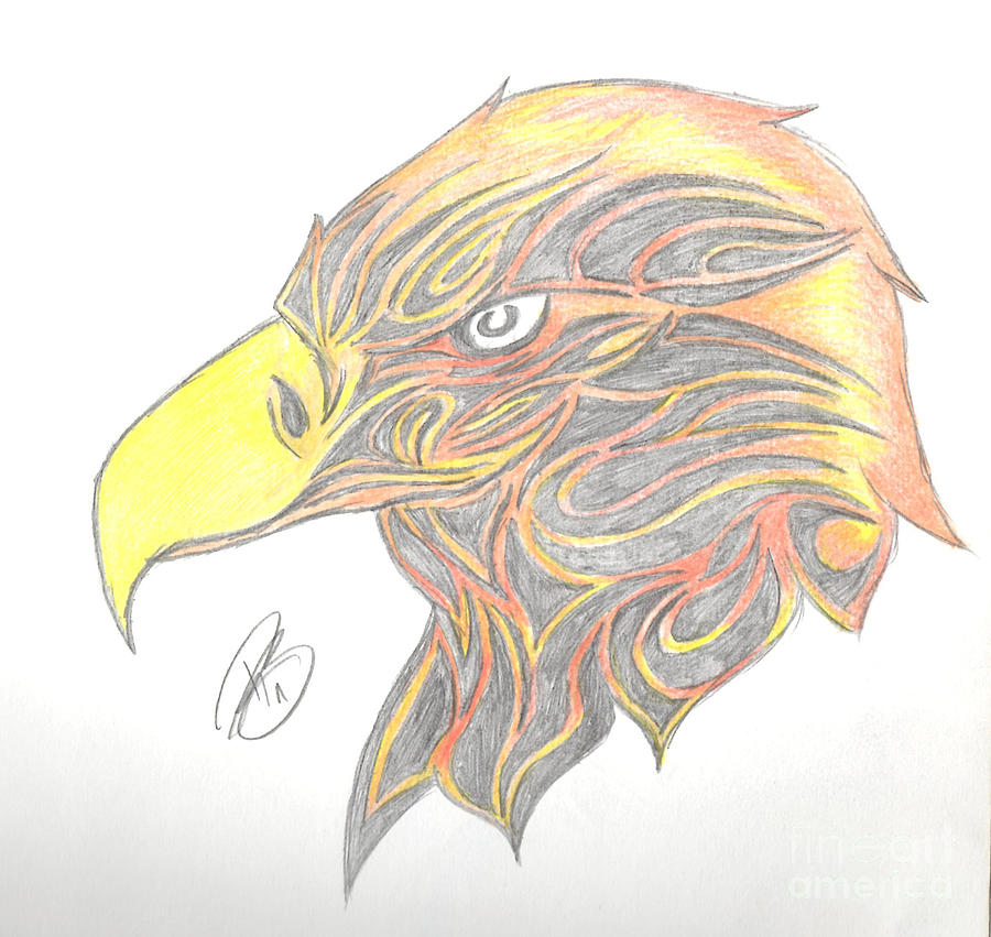 900x851 eagle head drawing - Eagle Head Drawing