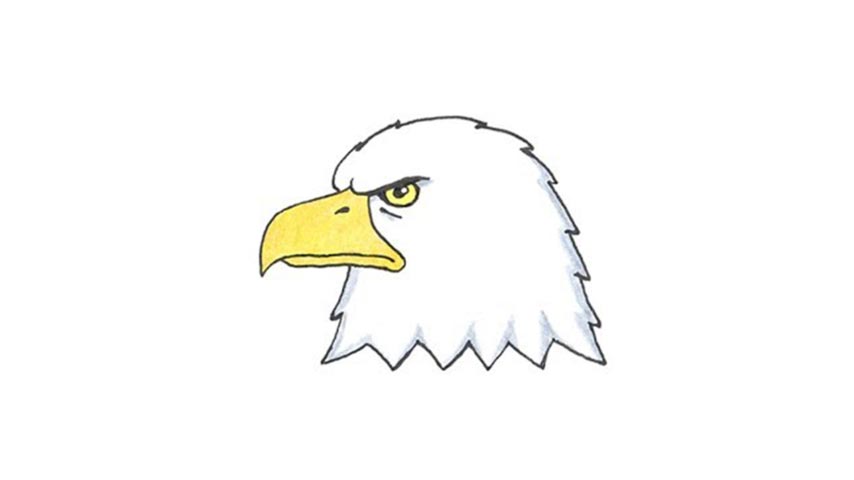 854x480 how to draw a bald eagle head - Eagle Head Drawing