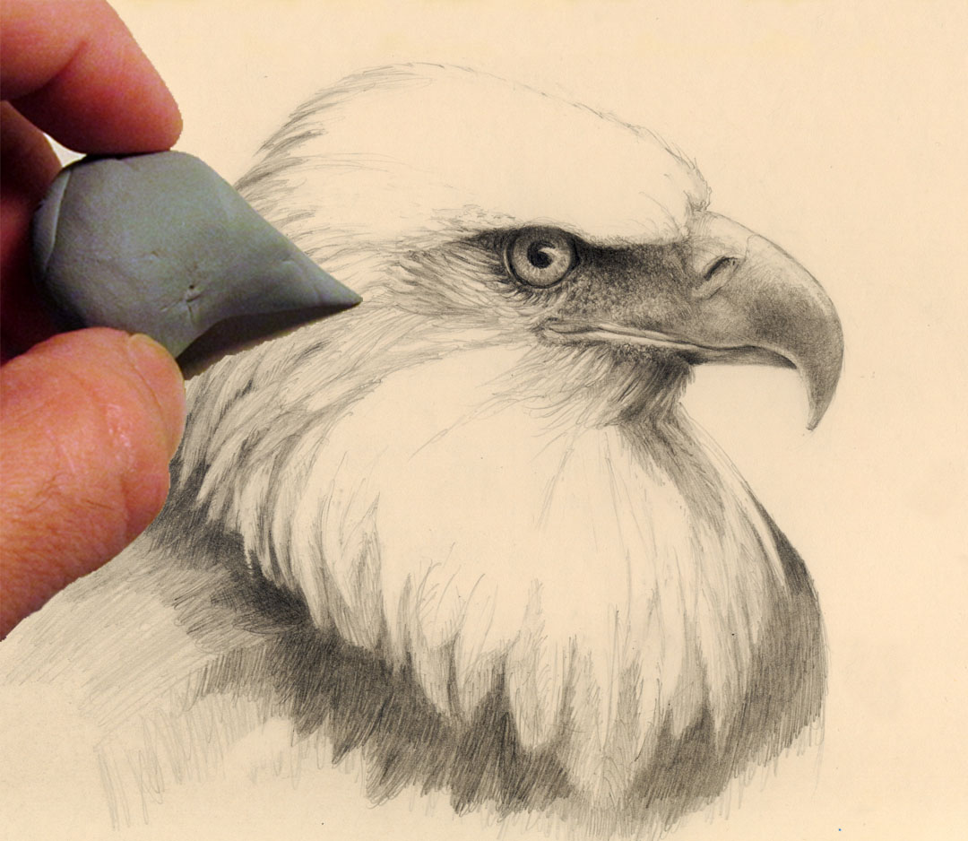 1080x938 how to draw an eagle head mark bornowski - Eagle Head Drawing