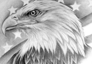 300x210 an eagle head step - Eagle Head Drawing
