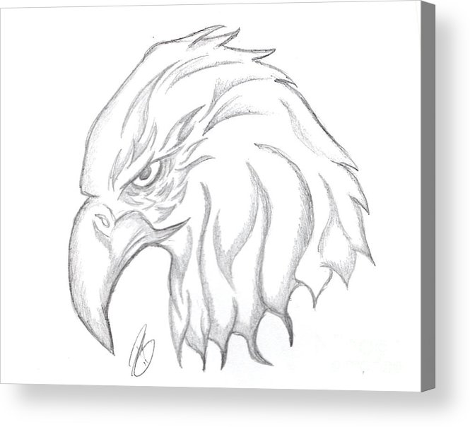 665x604 Eagle Head Drawing Acrylic Print - Eagle Head Line Drawing