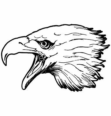 380x400 Eagle Head Line Drawing Gtgt - Eagle Head Line Drawing