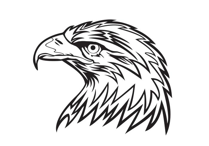 700x490 Eagle Head Vector - Eagle Head Line Drawing