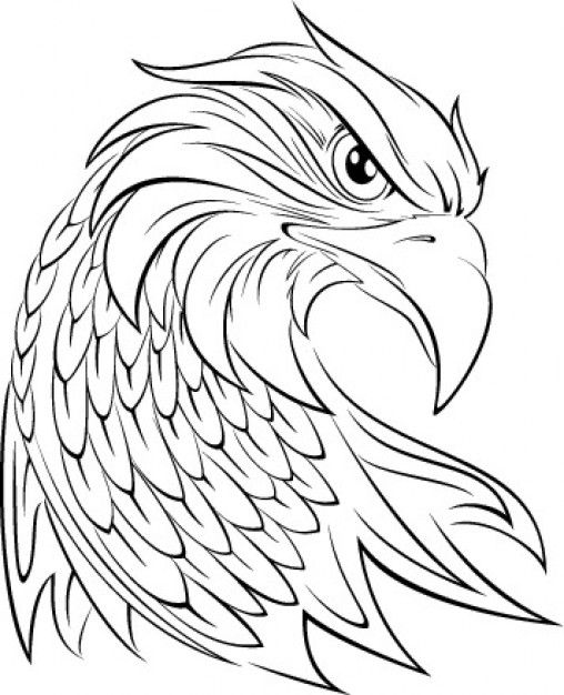 508x626 Eagle Head Graphic Vector Free Download - Eagle Head Line Drawing