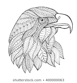 260x280 Gallery Eagle Line Drawing - Eagle Head Line Drawing
