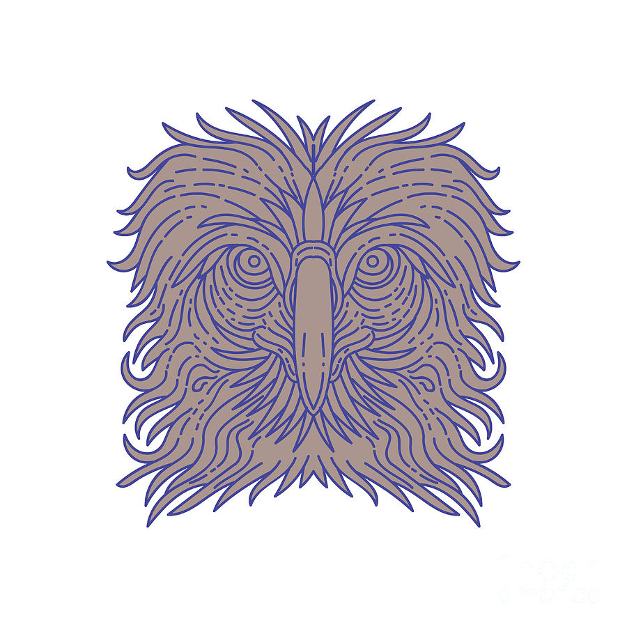 900x900 great philippine eagle head mono line digital art - Eagle Head Line Drawing