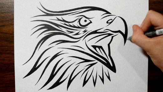 521x293 How To Draw A Bald Eagle Head Step - Eagle Head Line Drawing
