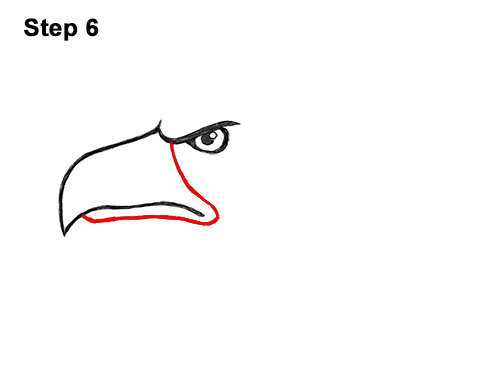 500x386 How To Draw A Bald Eagle Head - Eagle Head Line Drawing