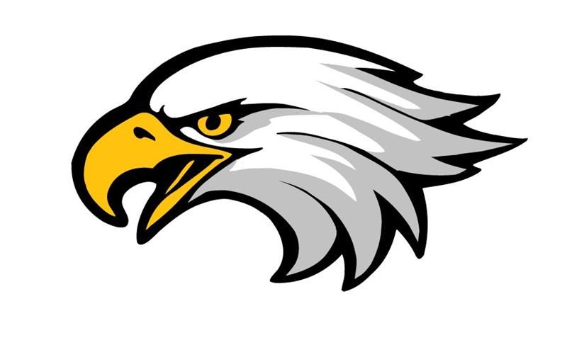 800x487 spirit week eagle images, eagle drawing, art - Eagle Head Line Drawing
