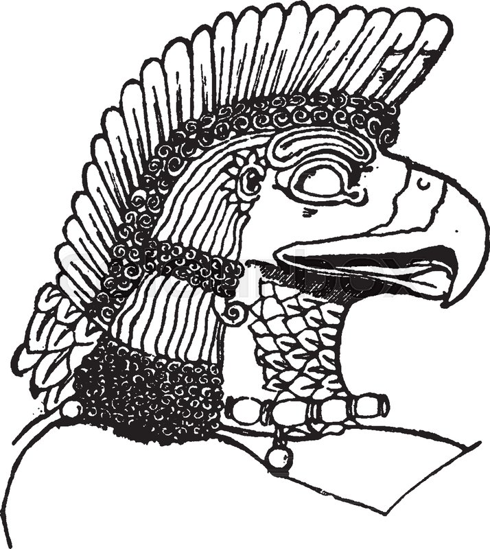 714x800 assyrian eagle head is natural pattern in this design, vintage line - Eagle Head Line Drawing