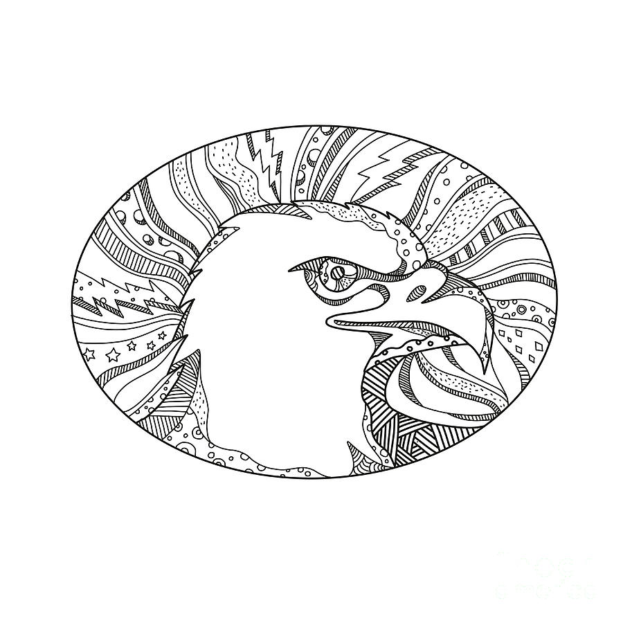 900x900 bald eagle head doodle art digital art - Eagle Head Line Drawing