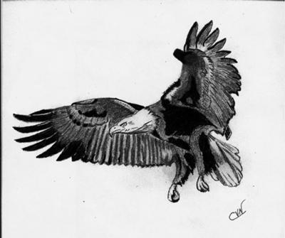 400x335 eagle in flight - Eagle In Flight Drawing