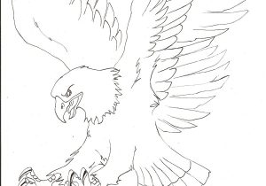 300x210 Eagle Flying Pencil Drawing Dale Jackson - Eagle In Flight Drawing