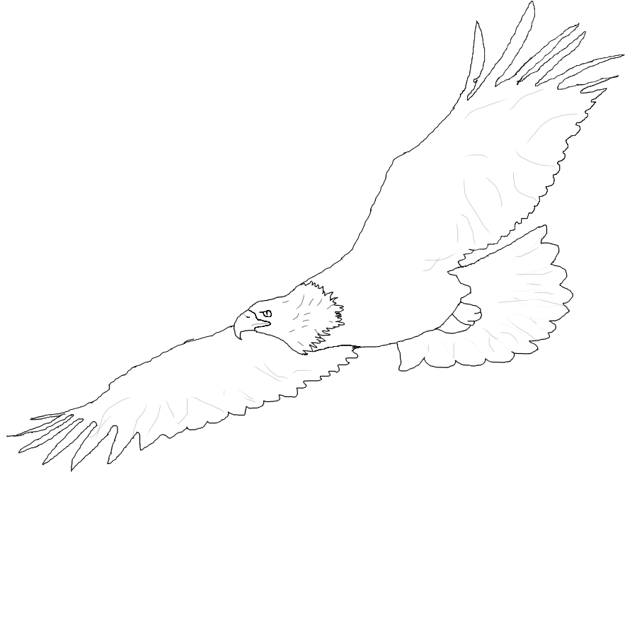 900x900 cliparts for free download eagle clipart in flight and use - Eagle In Flight Drawing