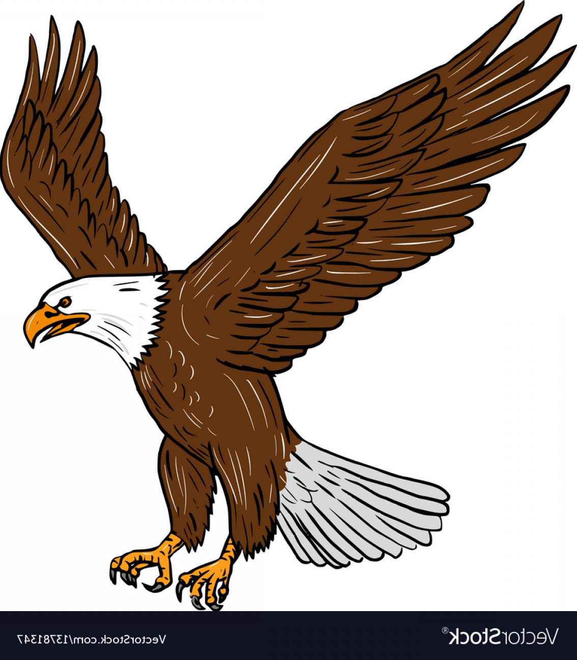 1134x1296 drawn bald eagle in flight free clip art stock illustrations - Eagle In Flight Drawing