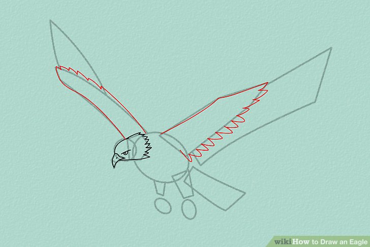 728x485 Ways To Draw An Eagle - Eagle In Flight Drawing