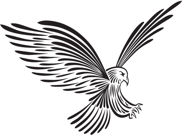 600x443 Eagle Landing Art Decal - Eagle Landing Drawing