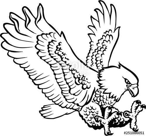 500x465 Eagle Landing Vector Illustration Stock Image And Royalty Free - Eagle Landing Drawing