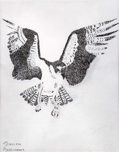 393x500 Eagle Landing - Eagle Landing Drawing