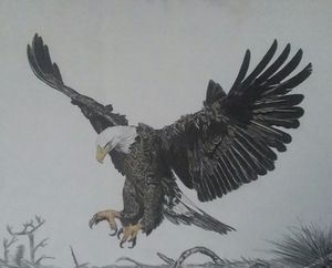 300x242 Eagle Pointillism Drawing - Eagle Landing Drawing