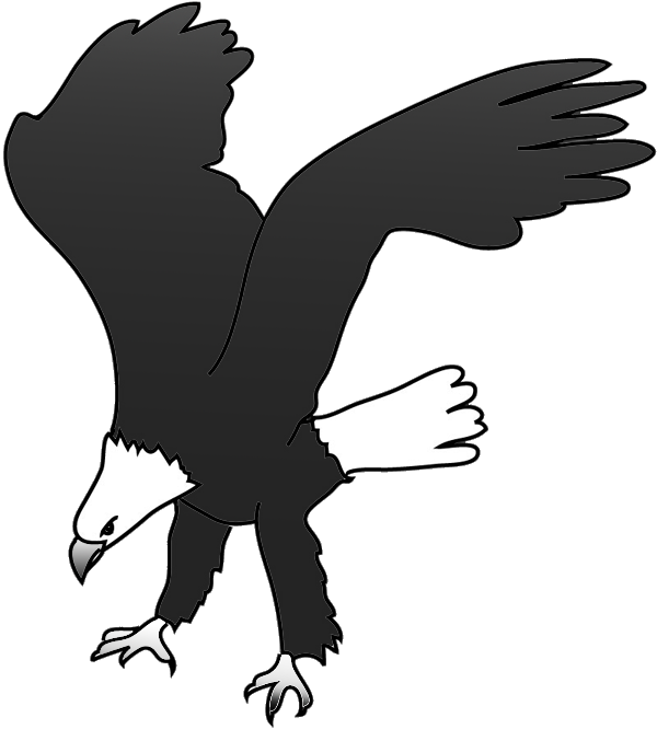 600x666 Bald Eagle Drawings - Eagle Landing Drawing